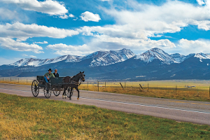 Custer Country Life