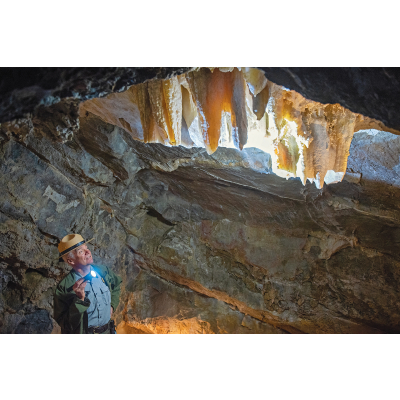 Subterranean World of Wonder