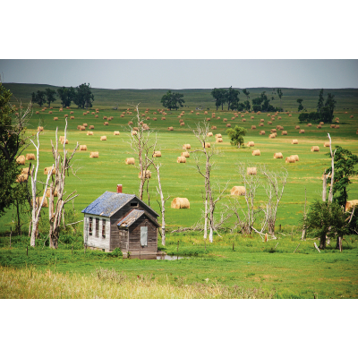 Where the Grass Holds Stories