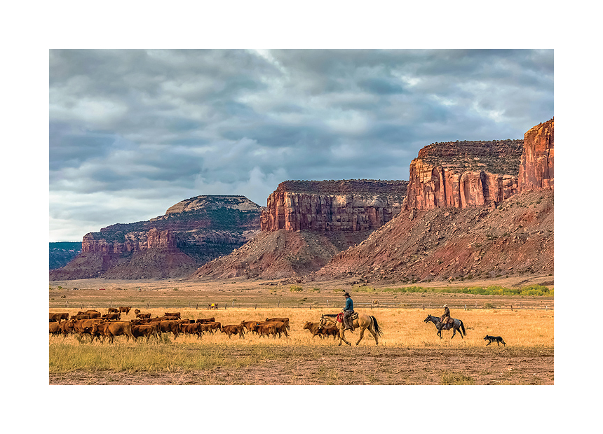 Cowboys and Scientists