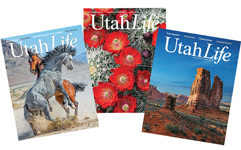 Deal - Utah Life 2-yr Subscription + Bonus Issue